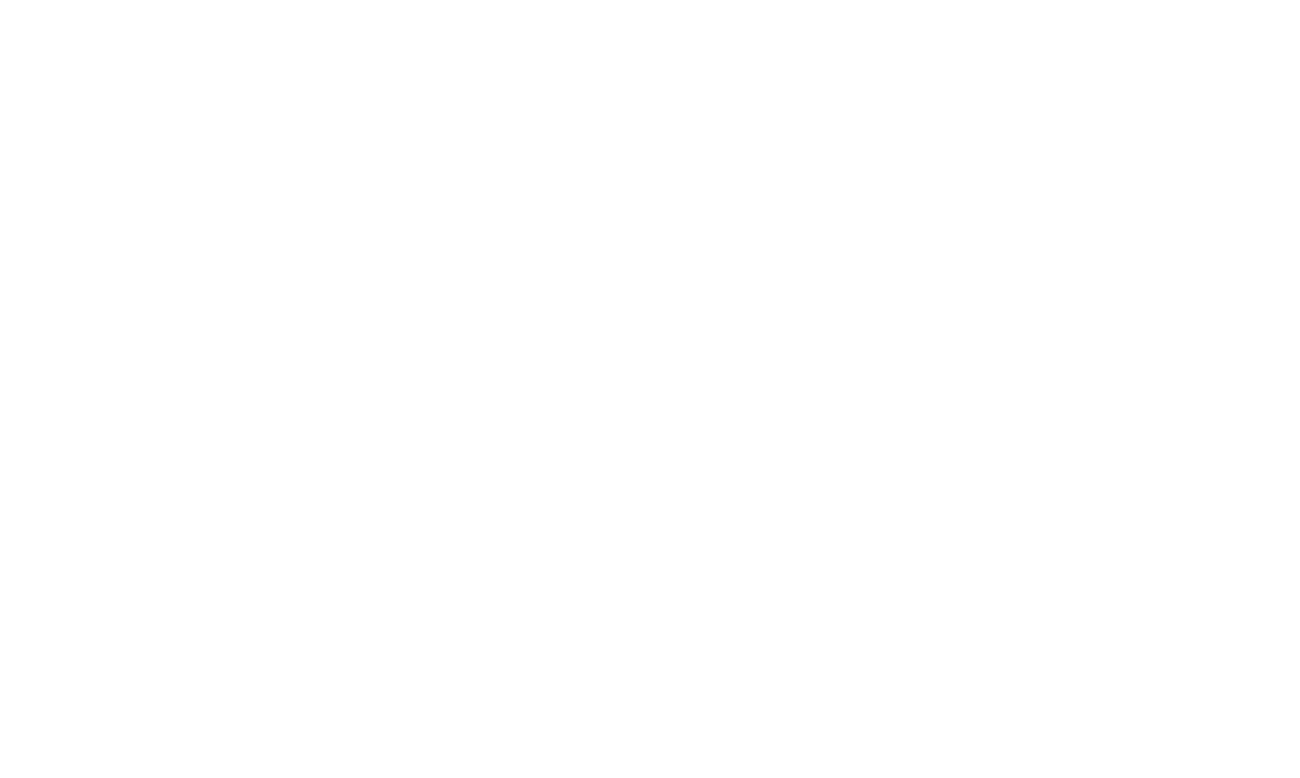 Logo Ecliptyx transparent 5